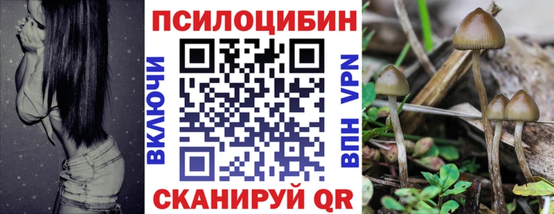 Псилоцибиновые грибы ЛСД  hydra как войти  Дмитров 